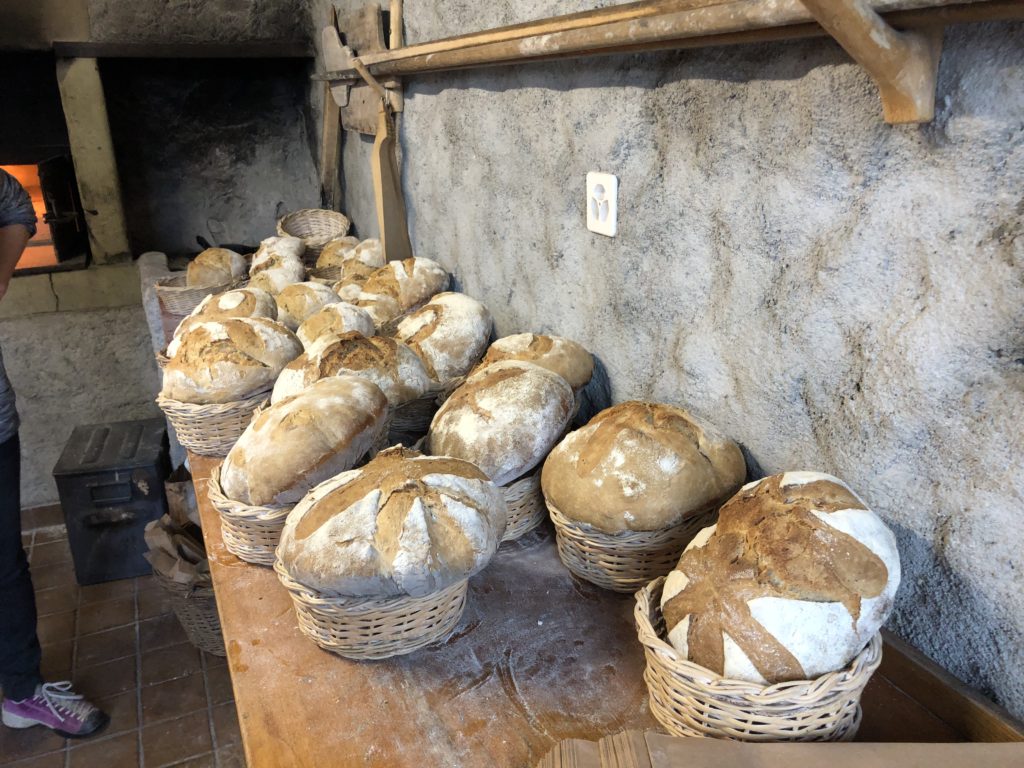 Une vingtaine de grosses miches de pain au levain, farinées et dorées, posées dans des paniers en osier devant le four à bois communal.